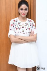 Lavanya Tripathi Interview About Mister